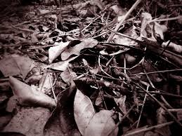 This image has an empty alt attribute; its file name is images.jpg