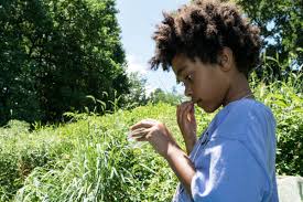 This image has an empty alt attribute; its file name is images-4.jpg